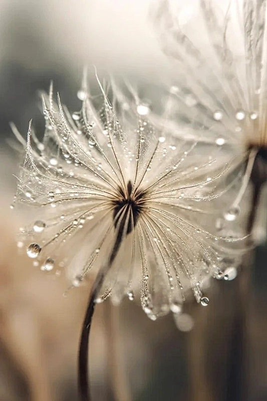 Nourishment as Foundation